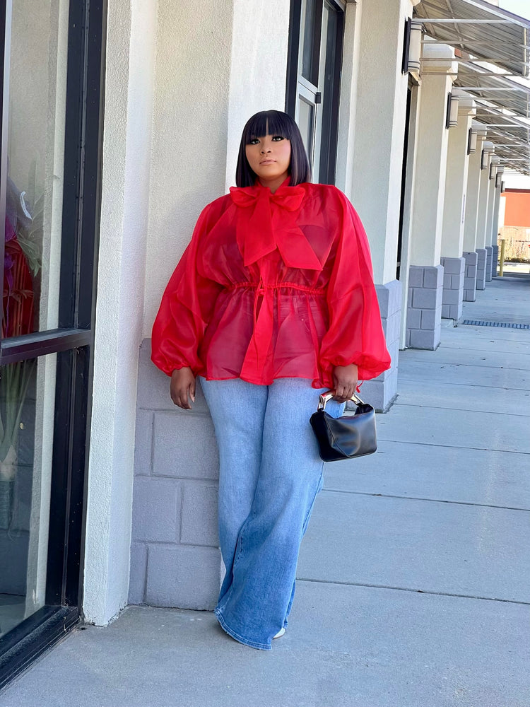 Organza Blouse Top Reg/Plus (Red)