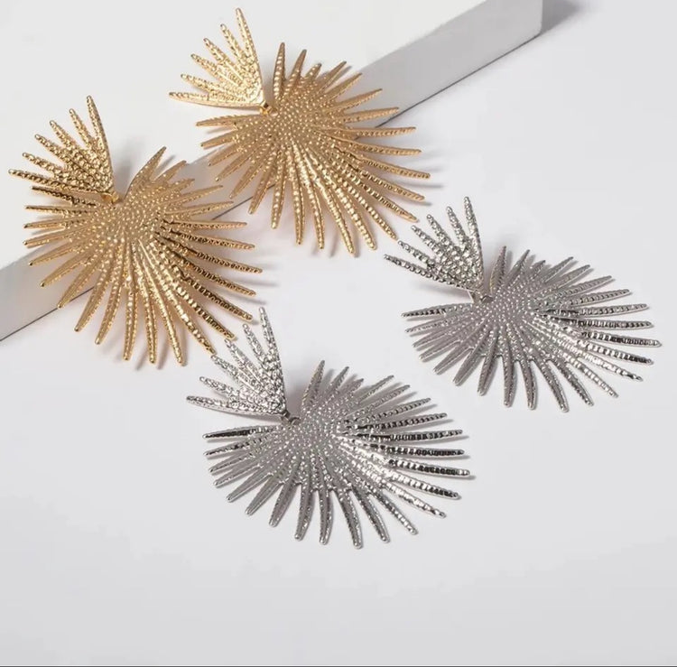Spiked Silver Earrings Alc