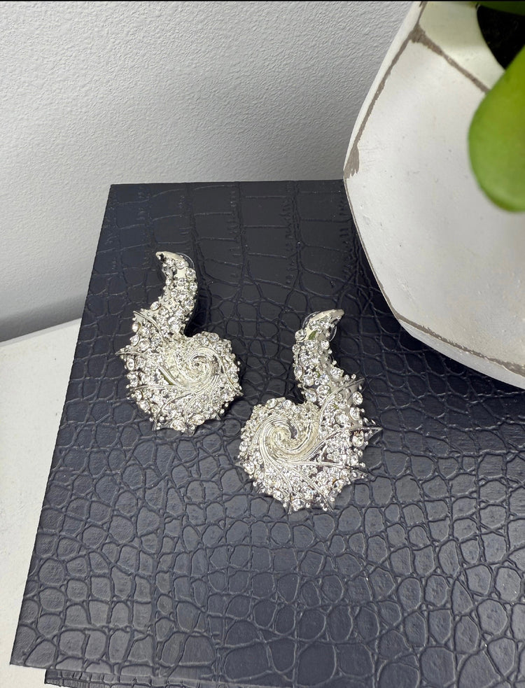 Frosted Glam Earrings Alc (silver)