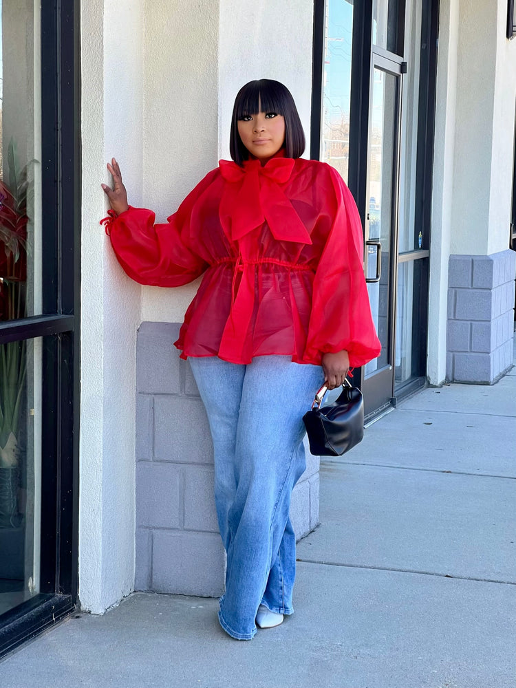 Organza Blouse Top Reg/Plus (Red)