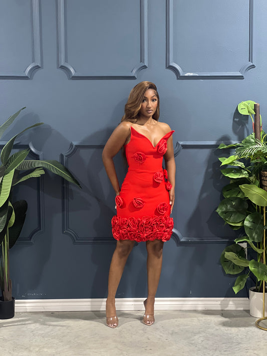 Luxe Collection-Venus Dress