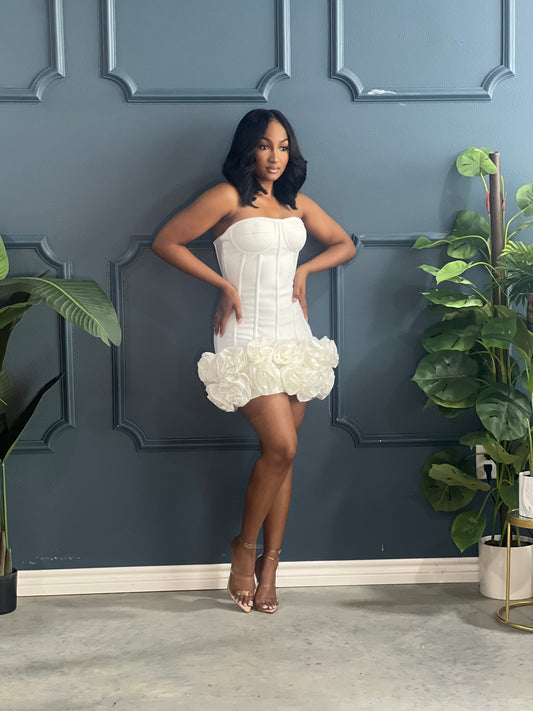 Luxe Collection Daisy Birthday Dress -White