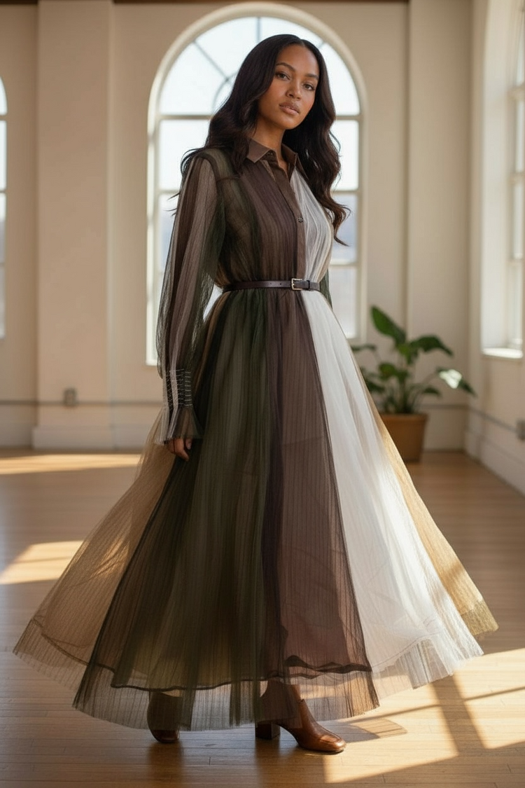 Multi Colored Sheer Dress