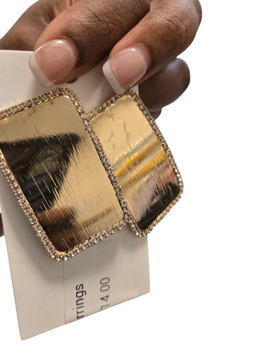 Oblong Beauty Earrings