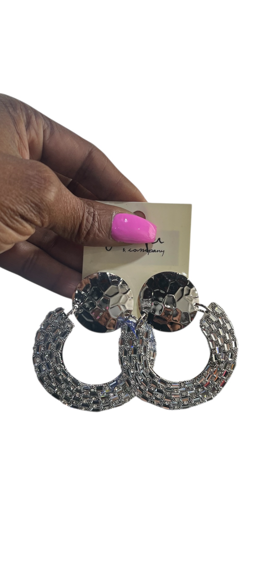 Flat & Fancy Earrings-Silver