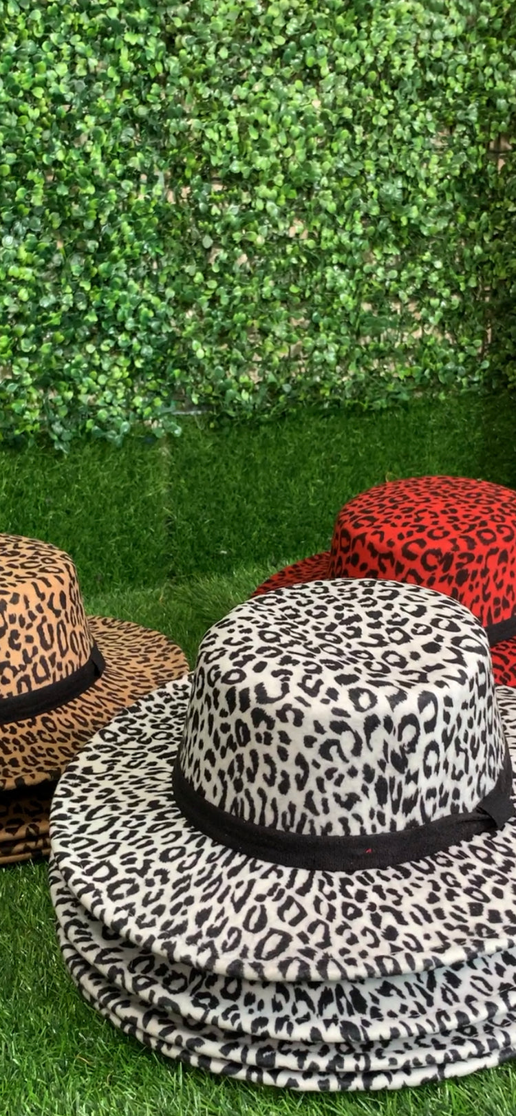 Restocked Animal Print Flat Fedora Hat (2 colors)